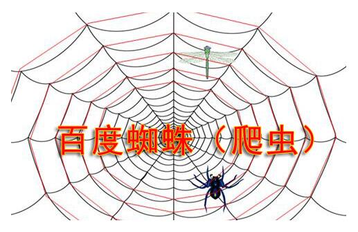 搜索引擎蜘蛛陷阱有哪些？如何避免蜘蛛陷阱
